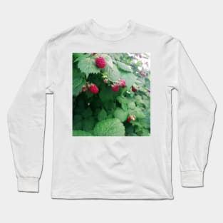 Raspberries photograph Long Sleeve T-Shirt